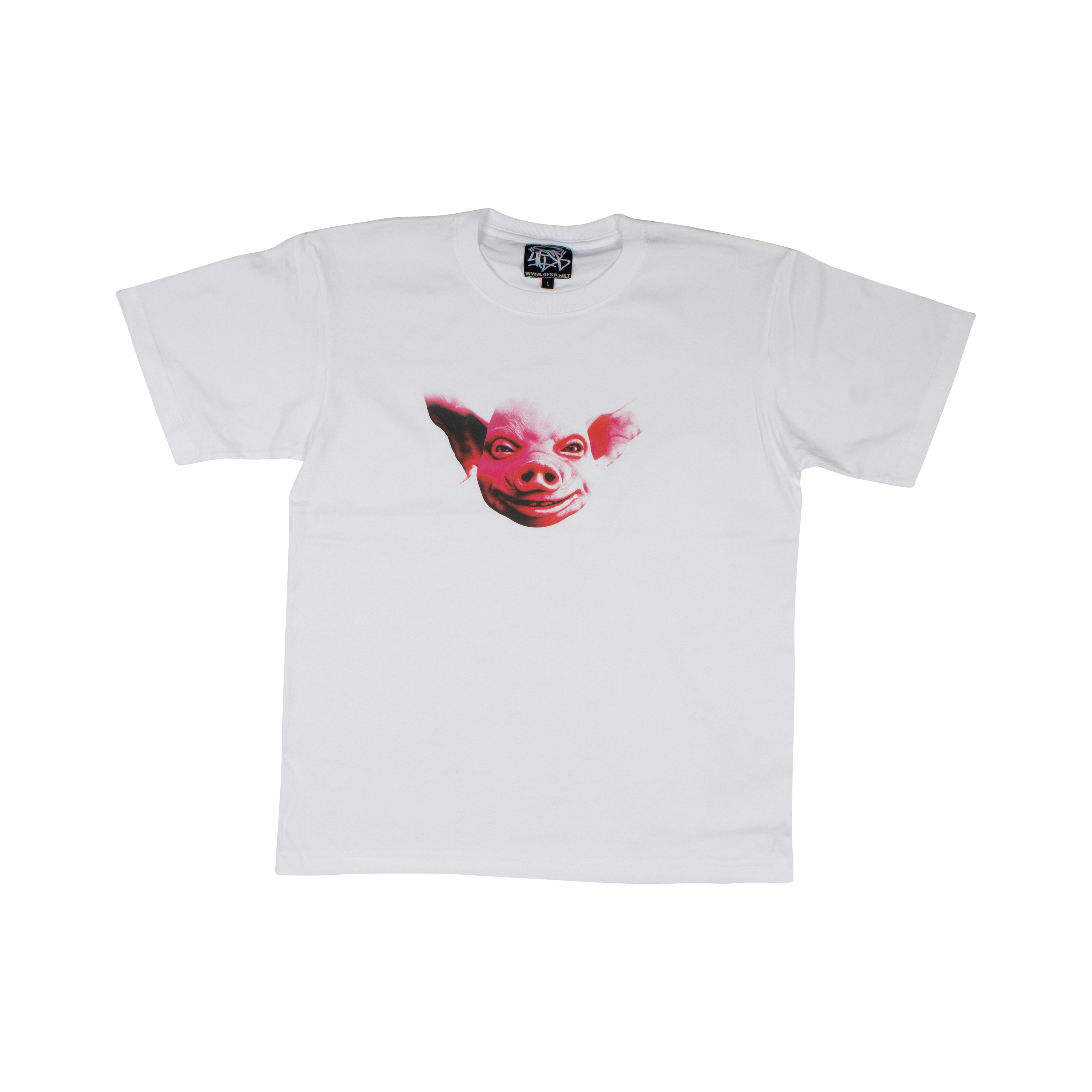 PIG