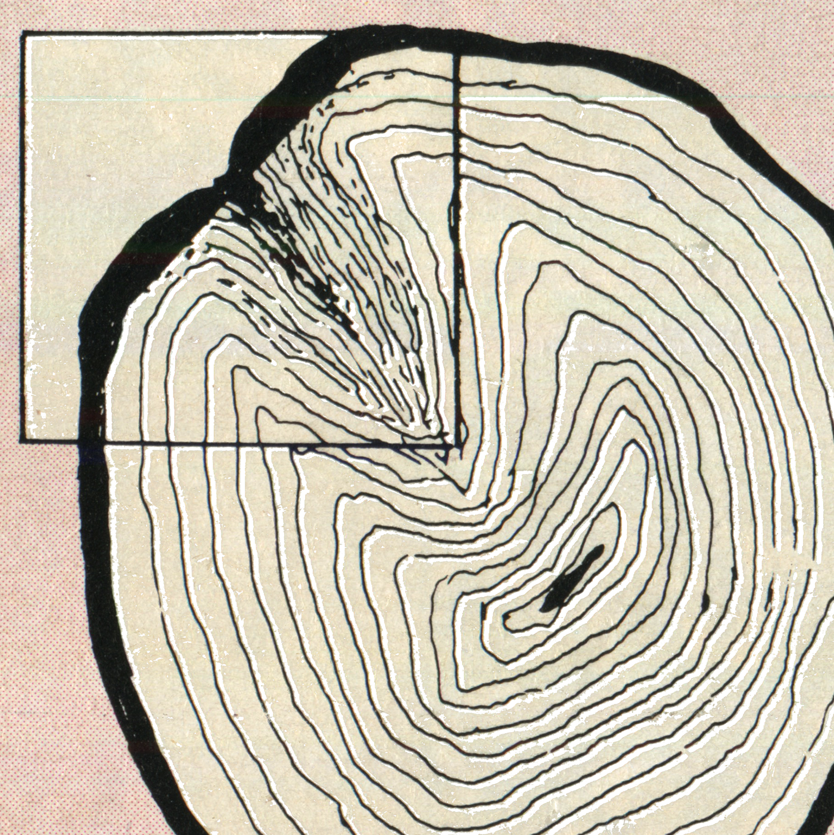 WOODWORK, Magazine