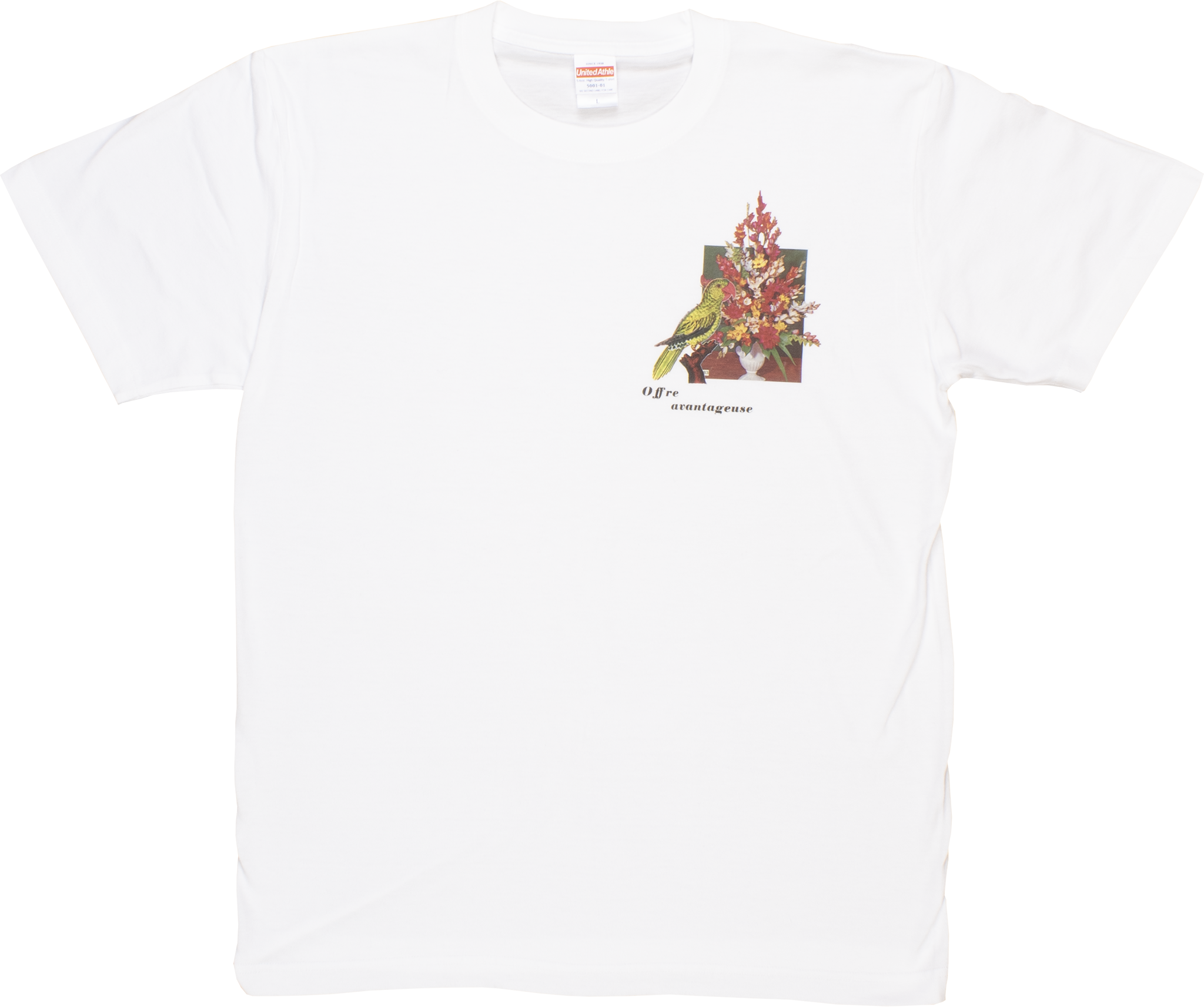 PARROT RED