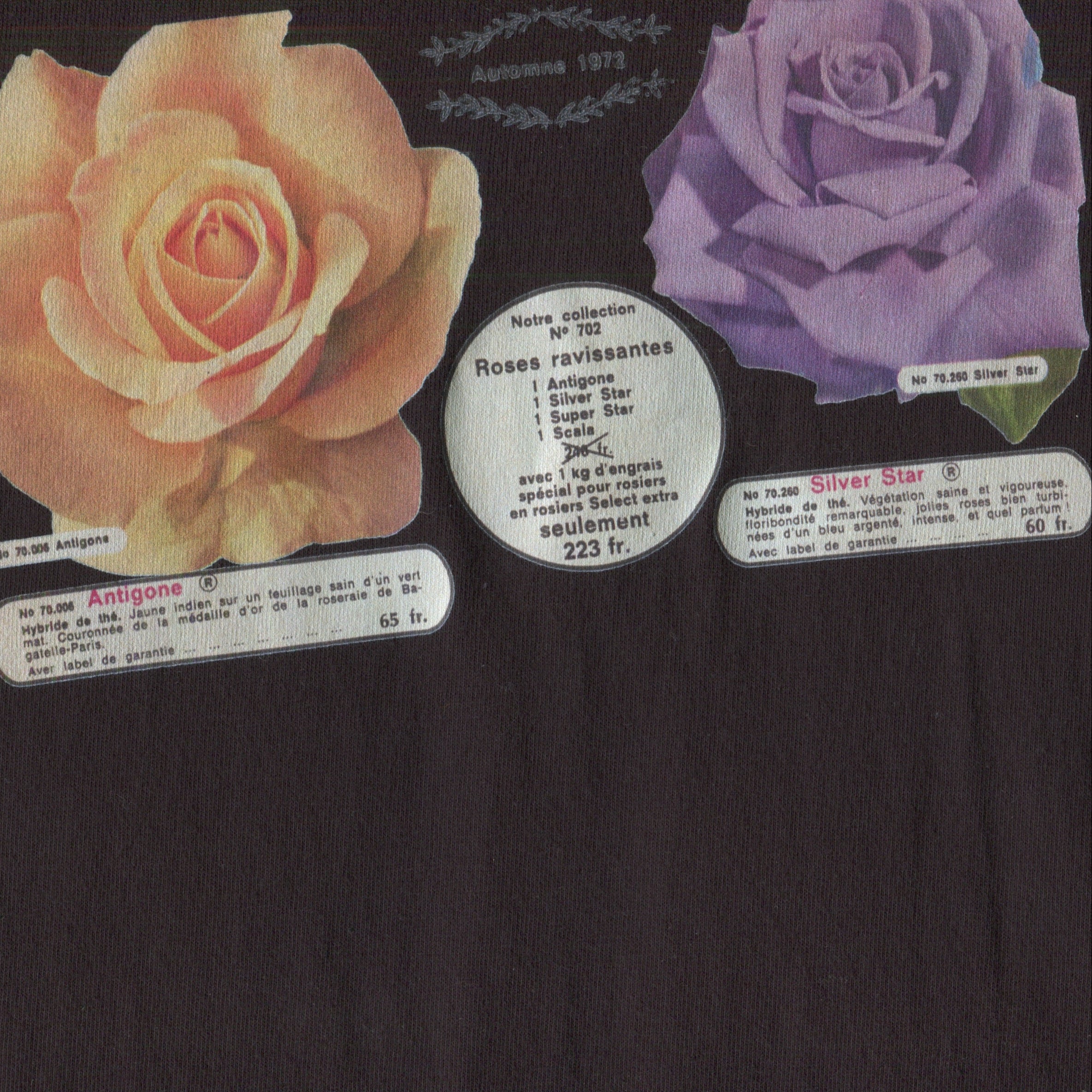 DOUBLE ROSE