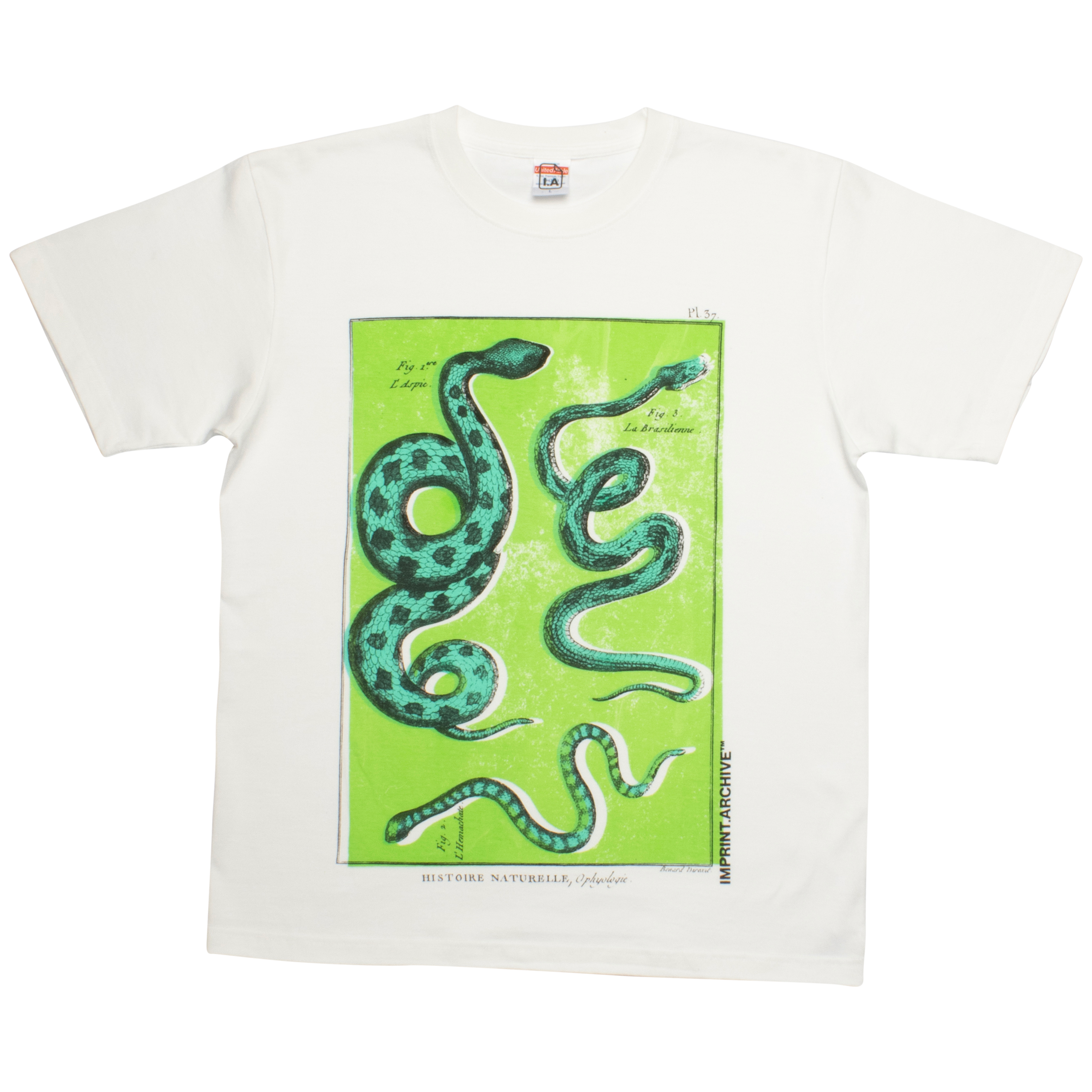 NEON RAT SNAKE