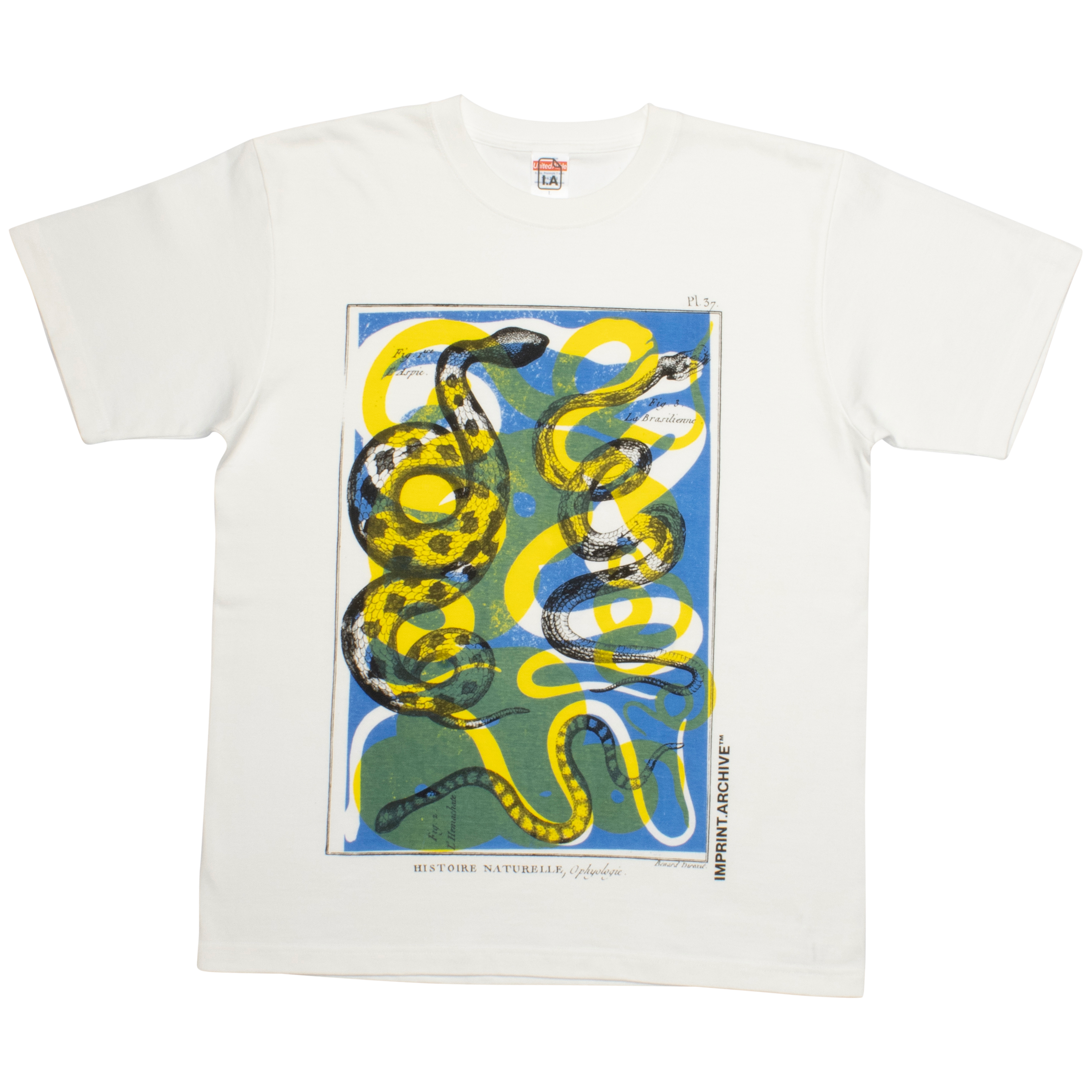 COBRA BLUE LEMON